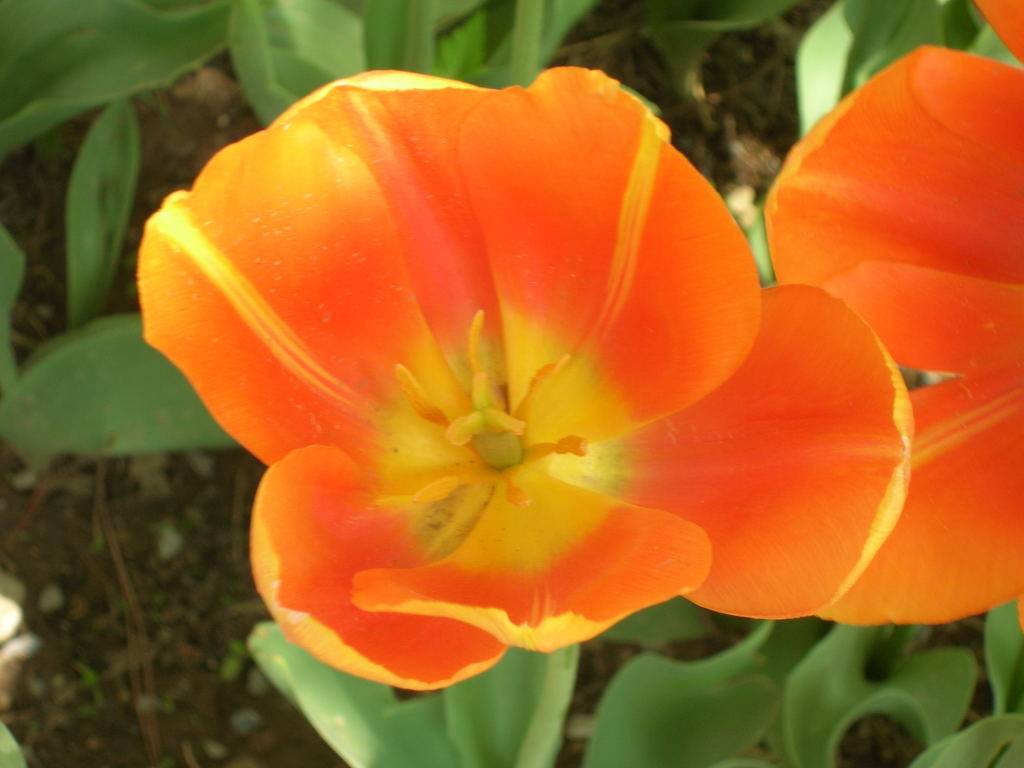 DSCN2859.JPG
