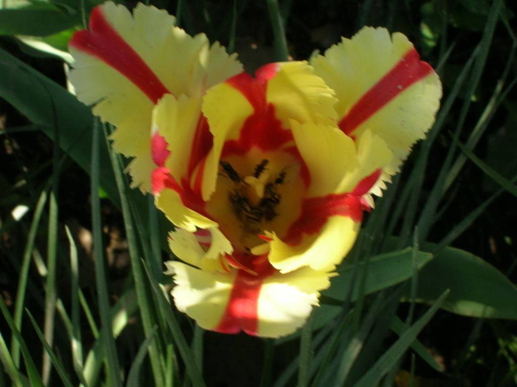 DSCN2856.JPG