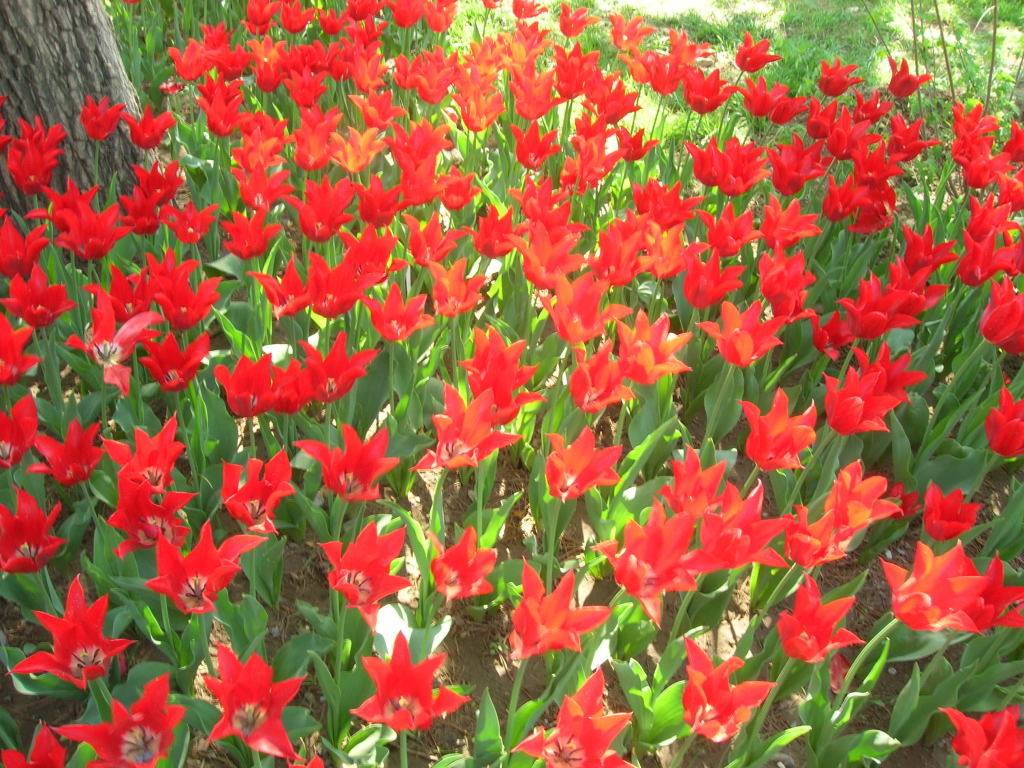 DSCN2867.JPG