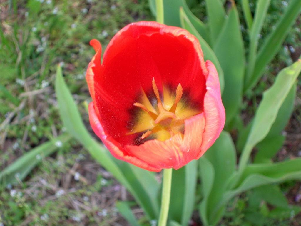 DSCN2854.JPG