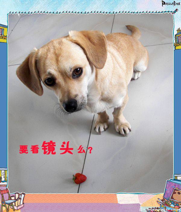 datou3.jpg