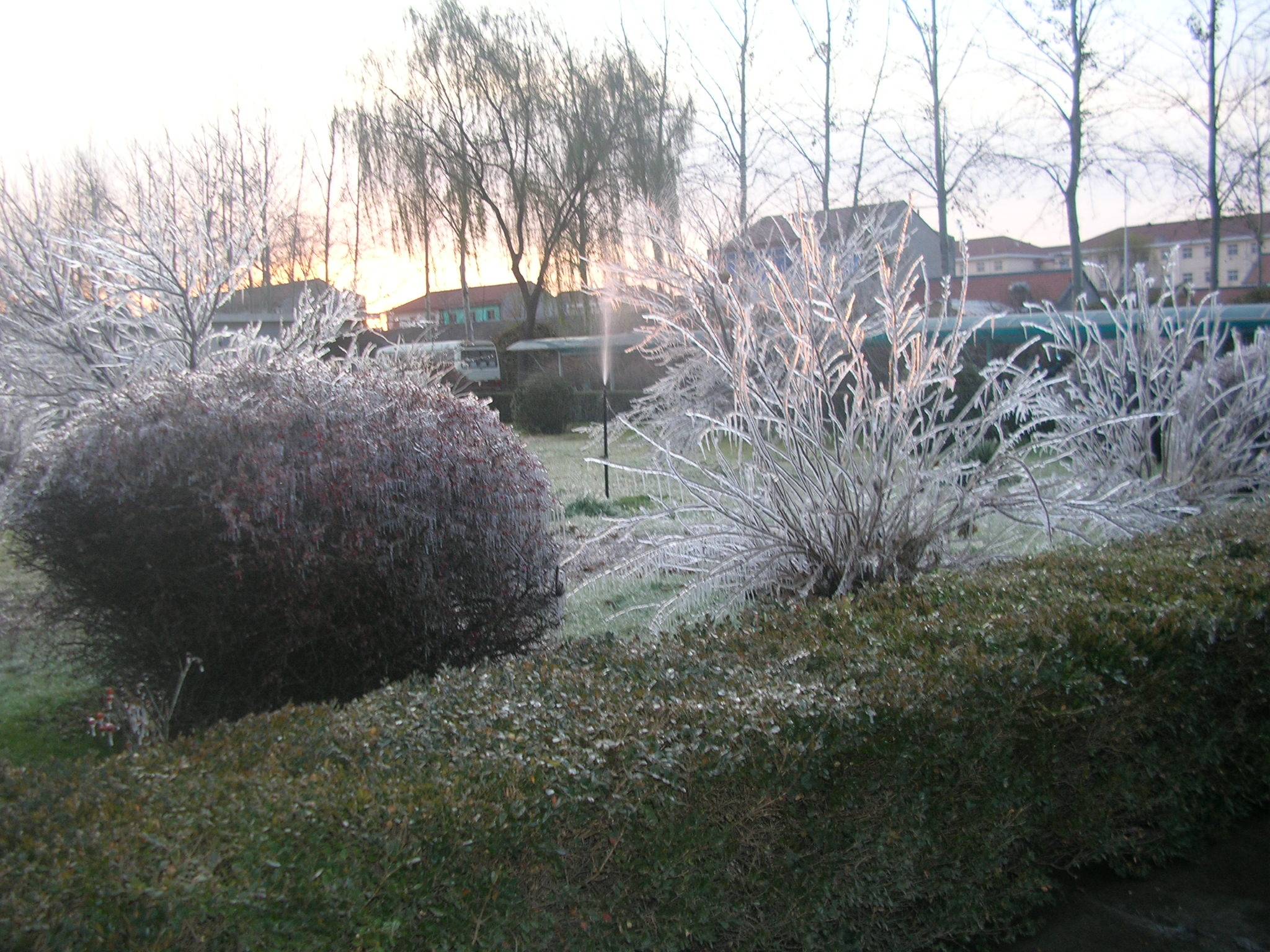 DSCN1575.JPG