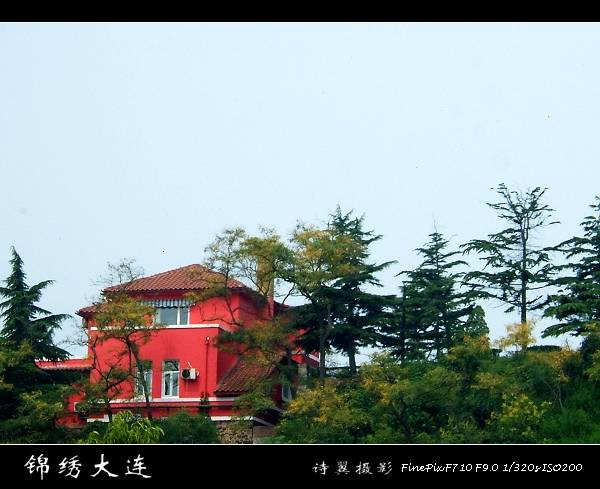 DSCF3786.JPG