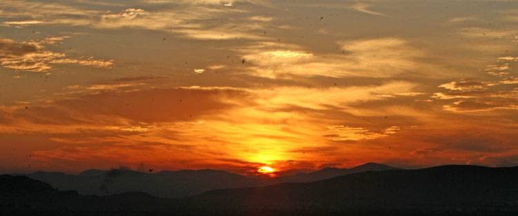IMG_5904.jpg