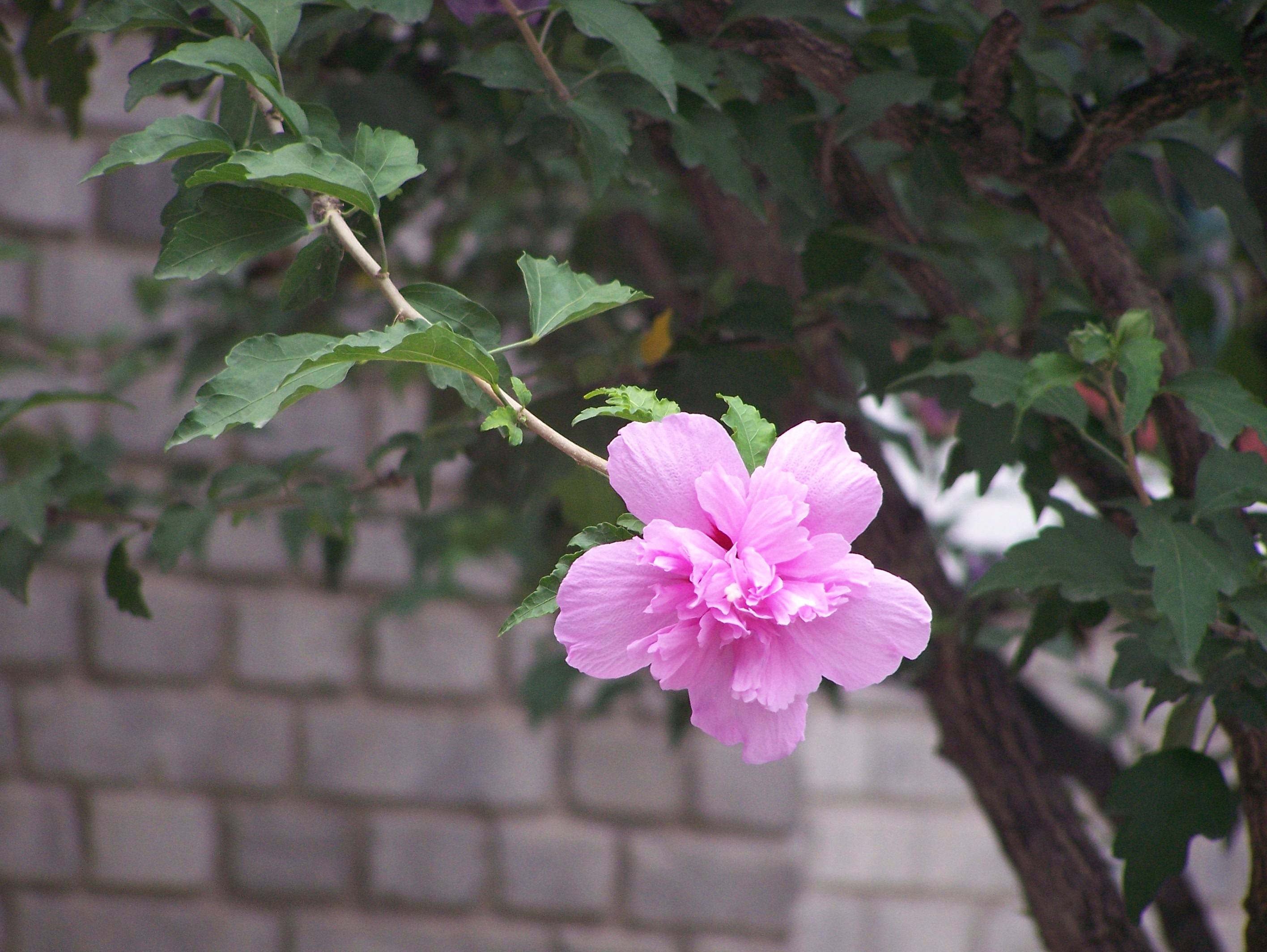 100_6321.JPG