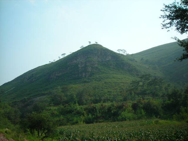 DSCN1802.JPG