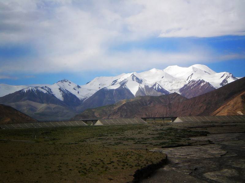 P8020254_СС.jpg