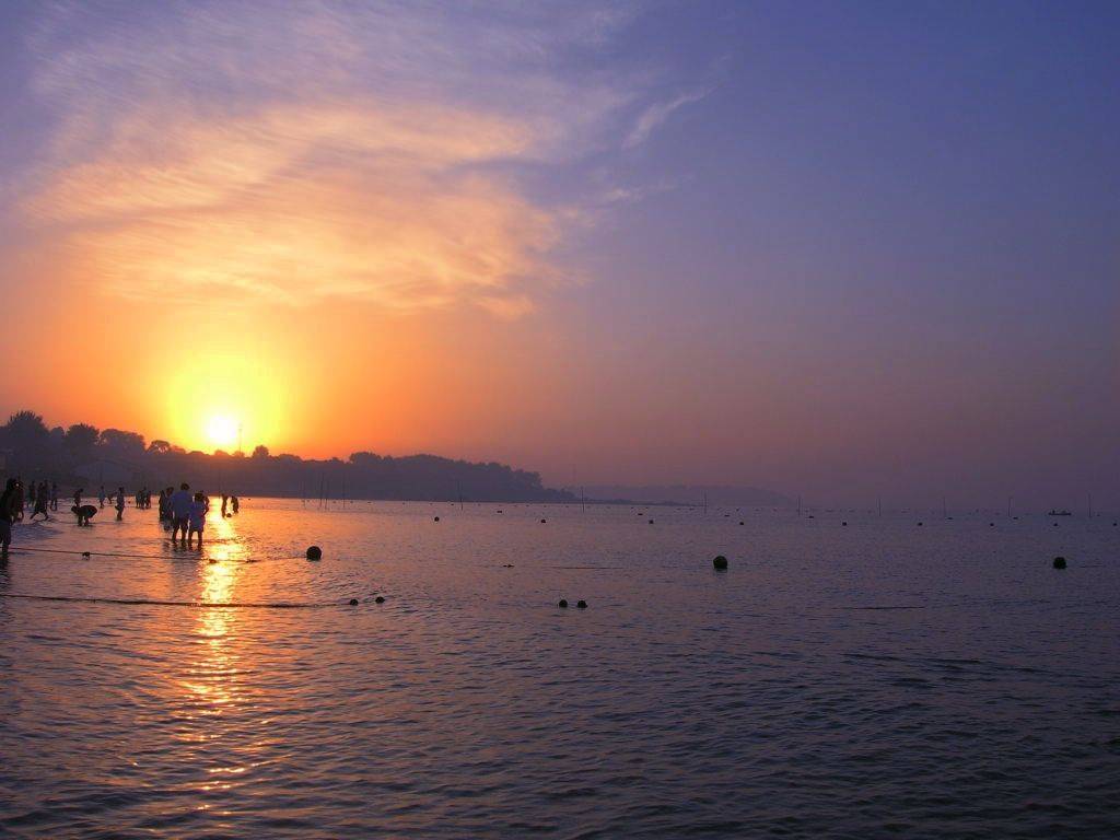 DSCN3843.jpg