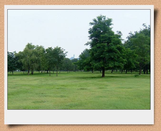 DSCF0927.JPG
