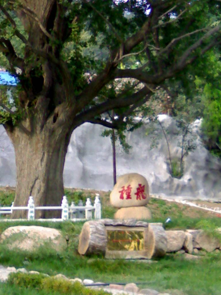 20070902032.jpg