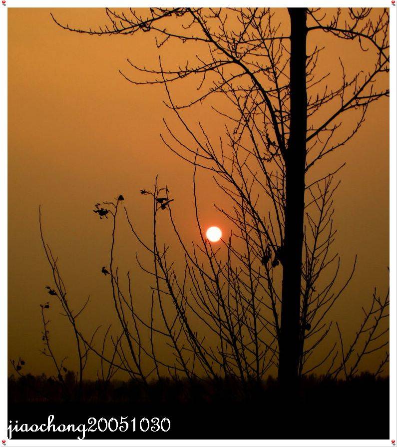 DSCN2217.jpg