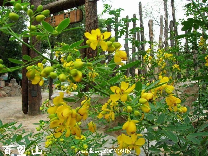 DSCN3947.jpg