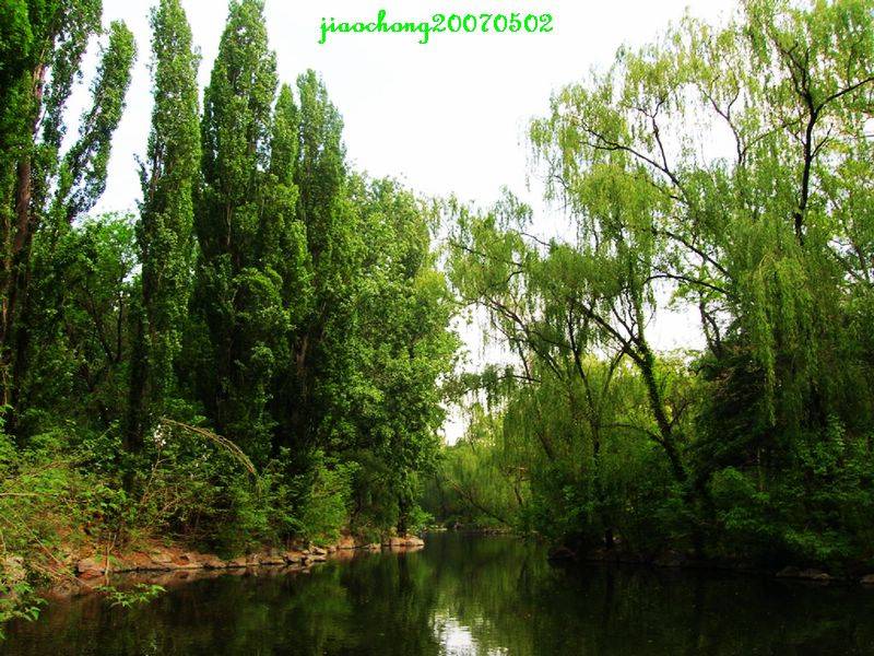 DSCN2927.jpg