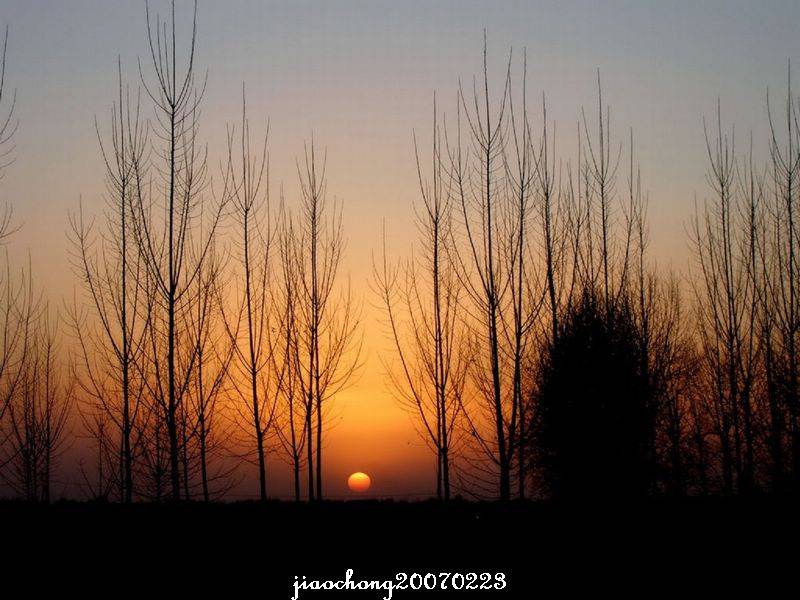 DSCN2645.jpg