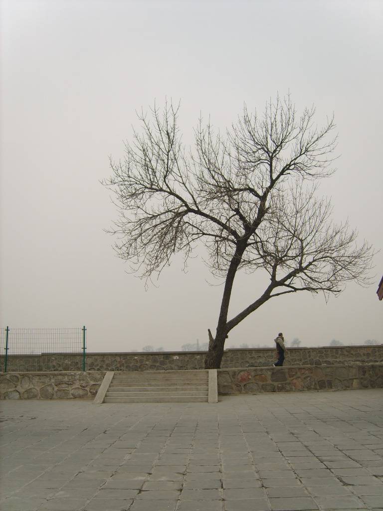 XL801052.JPG