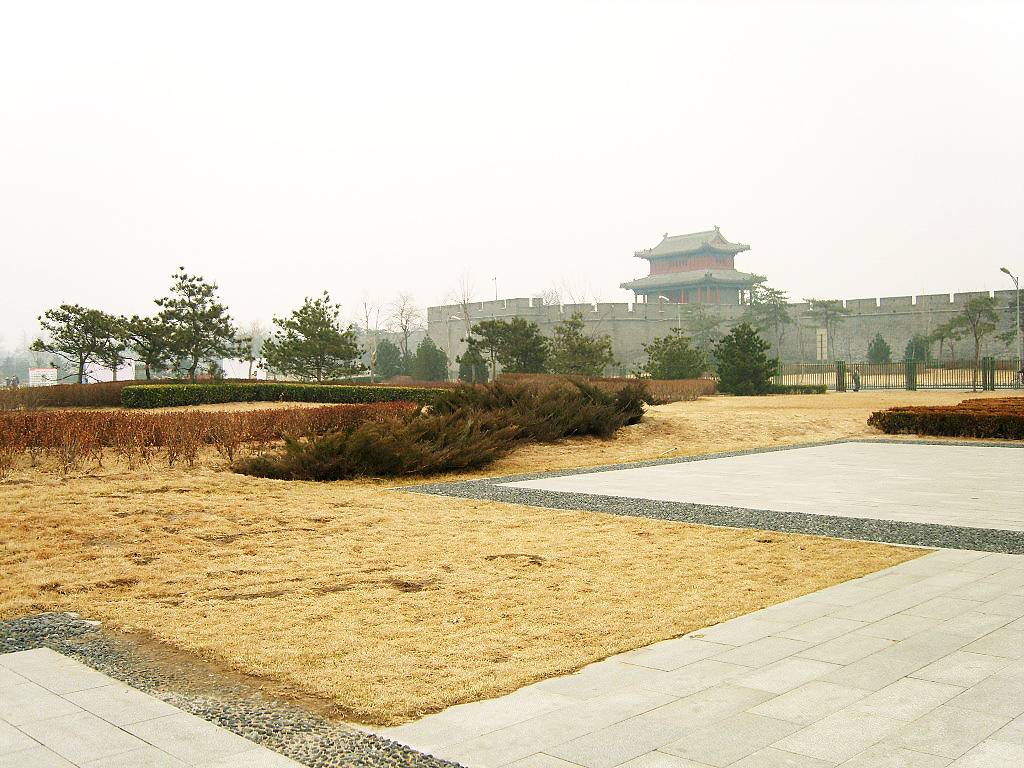 XL801041.JPG