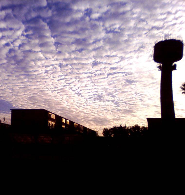 Picture6.jpg