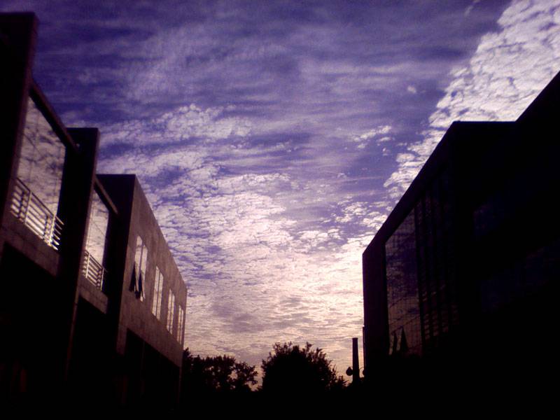Picture17.jpg