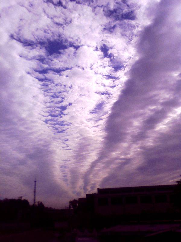 Picture5.jpg