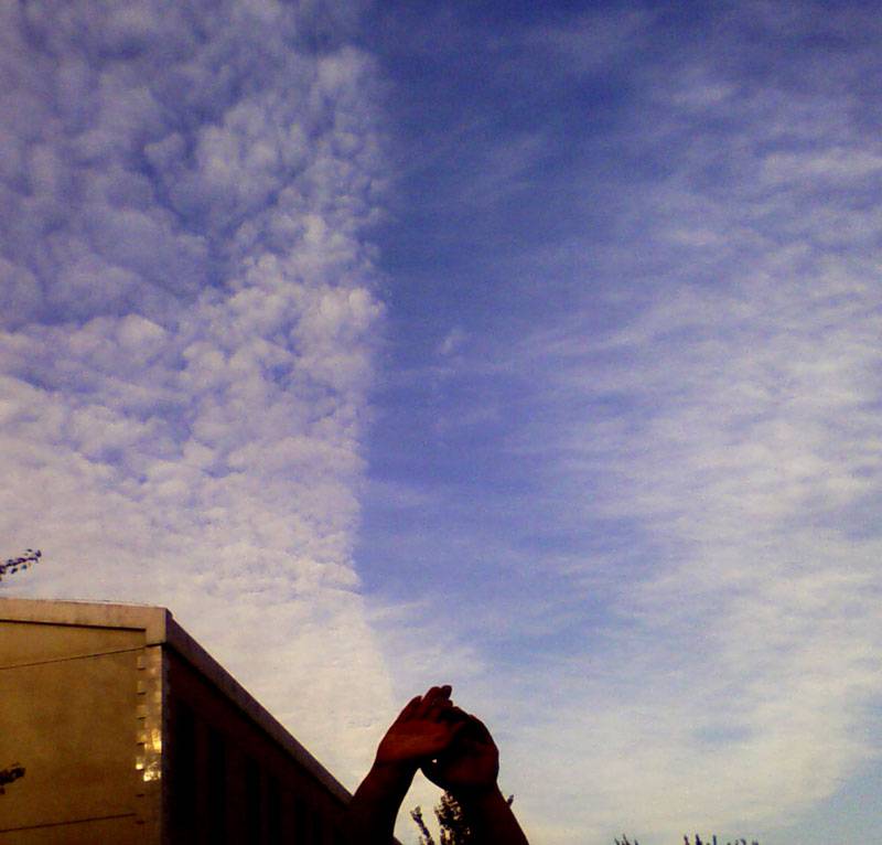 Picture11.jpg