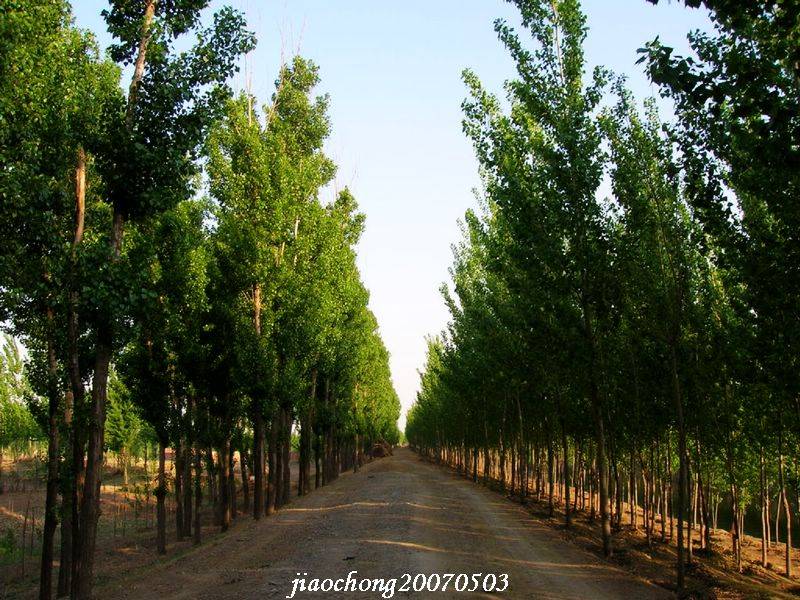 DSCN2955.jpg