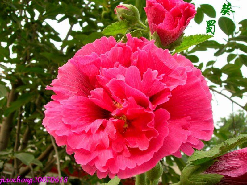 DSCN3111.jpg