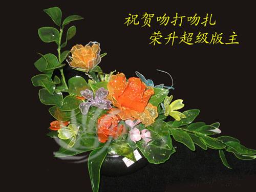 20060823092055.jpg