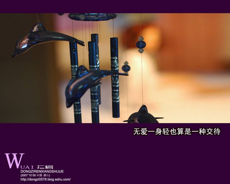 wuai--10.jpg