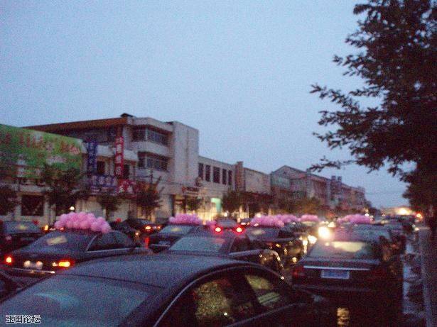 PA280308.JPG