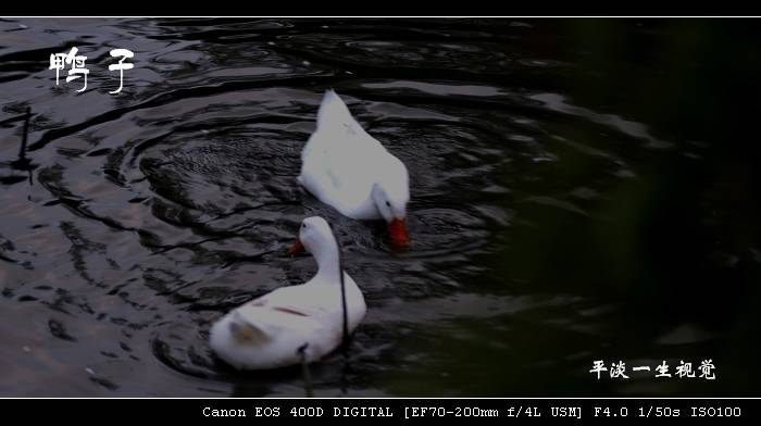 20071102_9455e8283b25b066307bAIUXl9aU8y7i.jpg