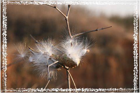 Ƭ 041.jpg