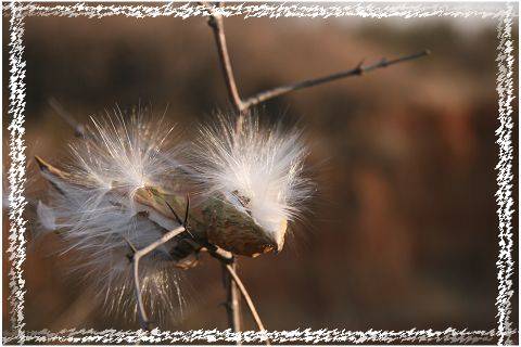 Ƭ 040.jpg