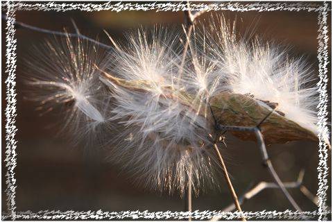 Ƭ 039.jpg