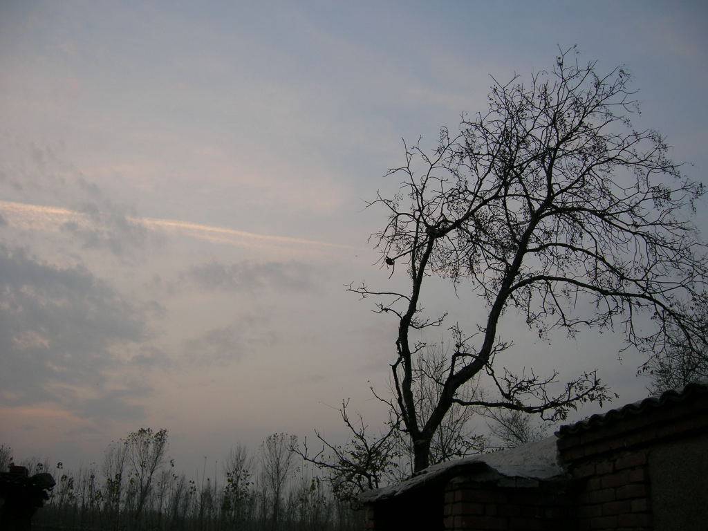 DSCN0568.jpg