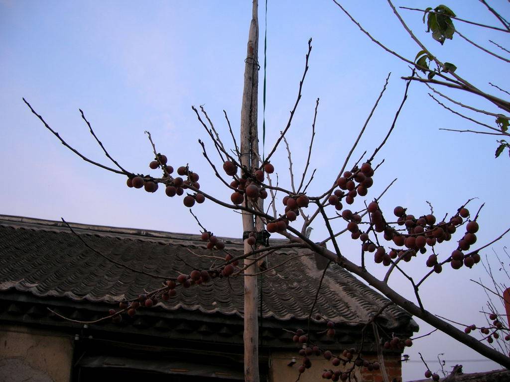 DSCN0564.jpg