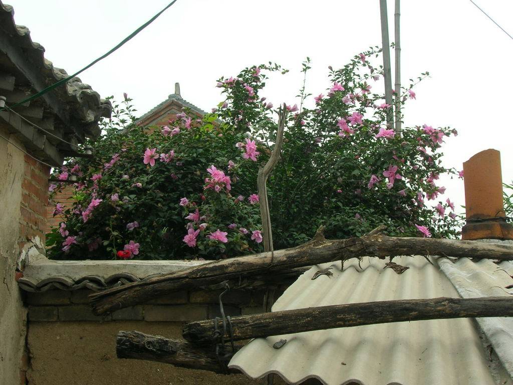 DSCN1847.jpg