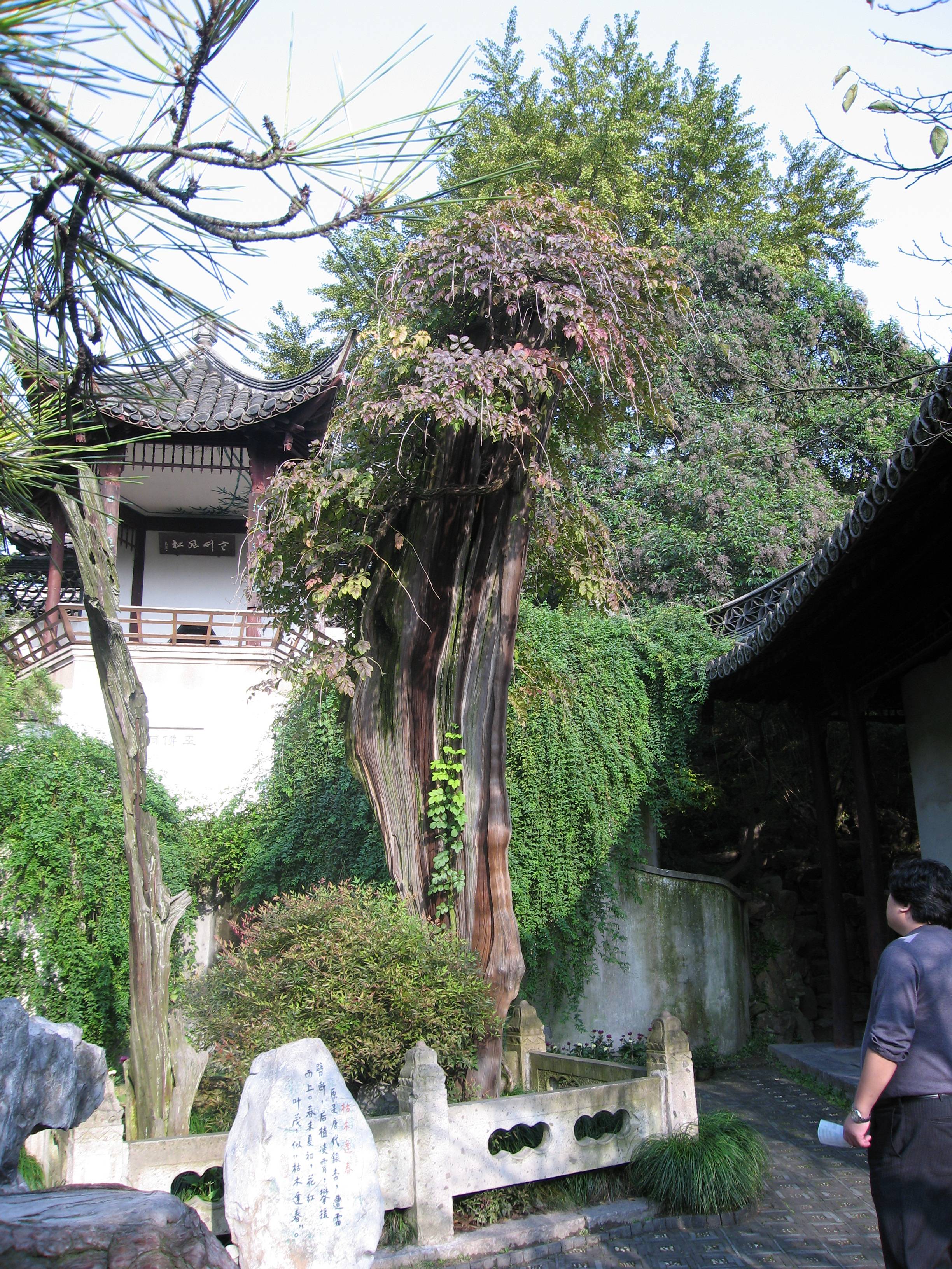 Ƭ 097.jpg