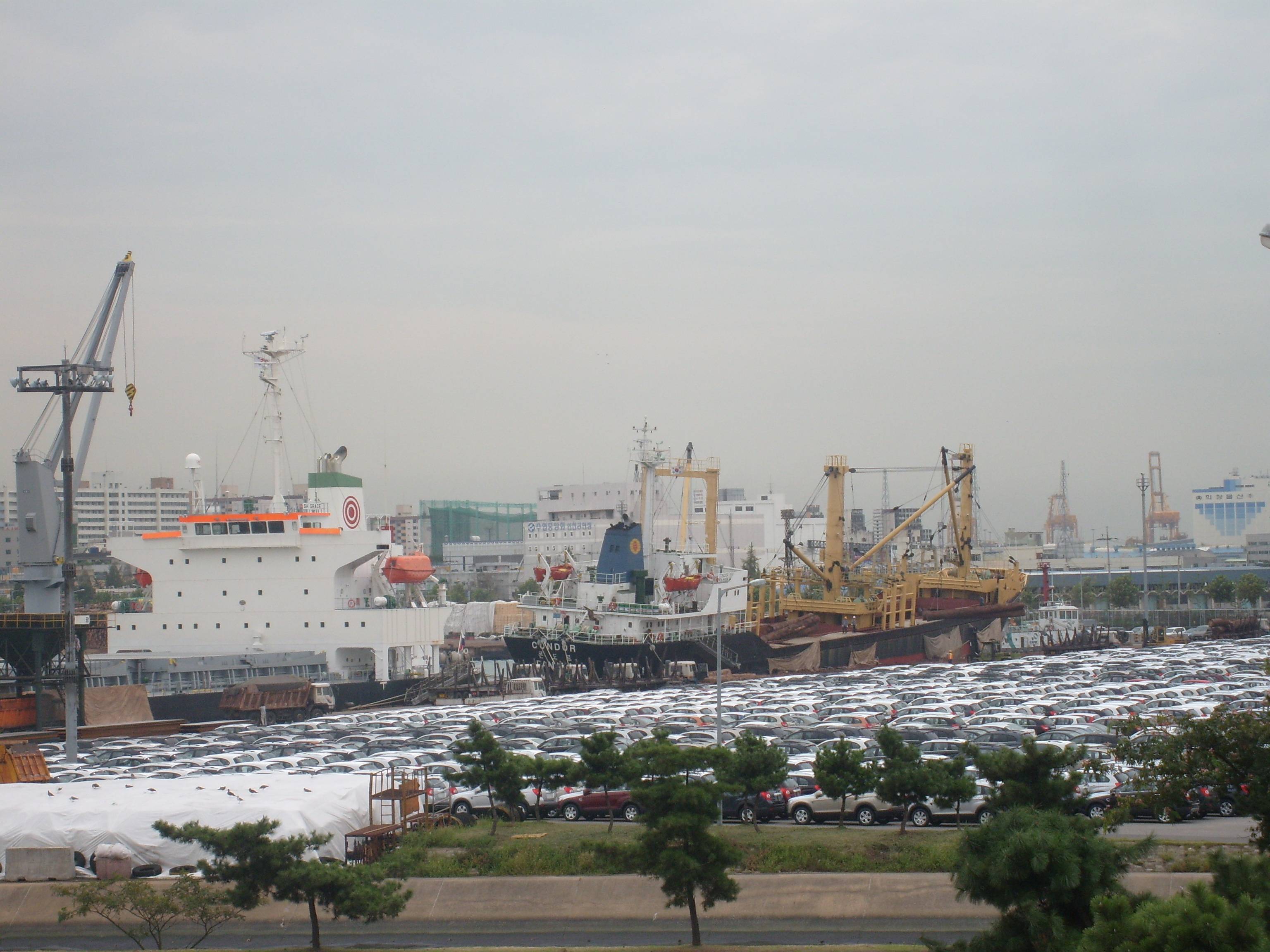 S7300038.JPG