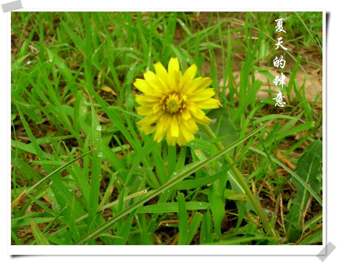 DSCN1567.jpg