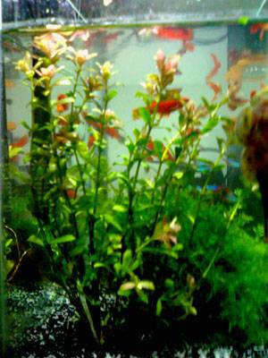 20071128235.jpg