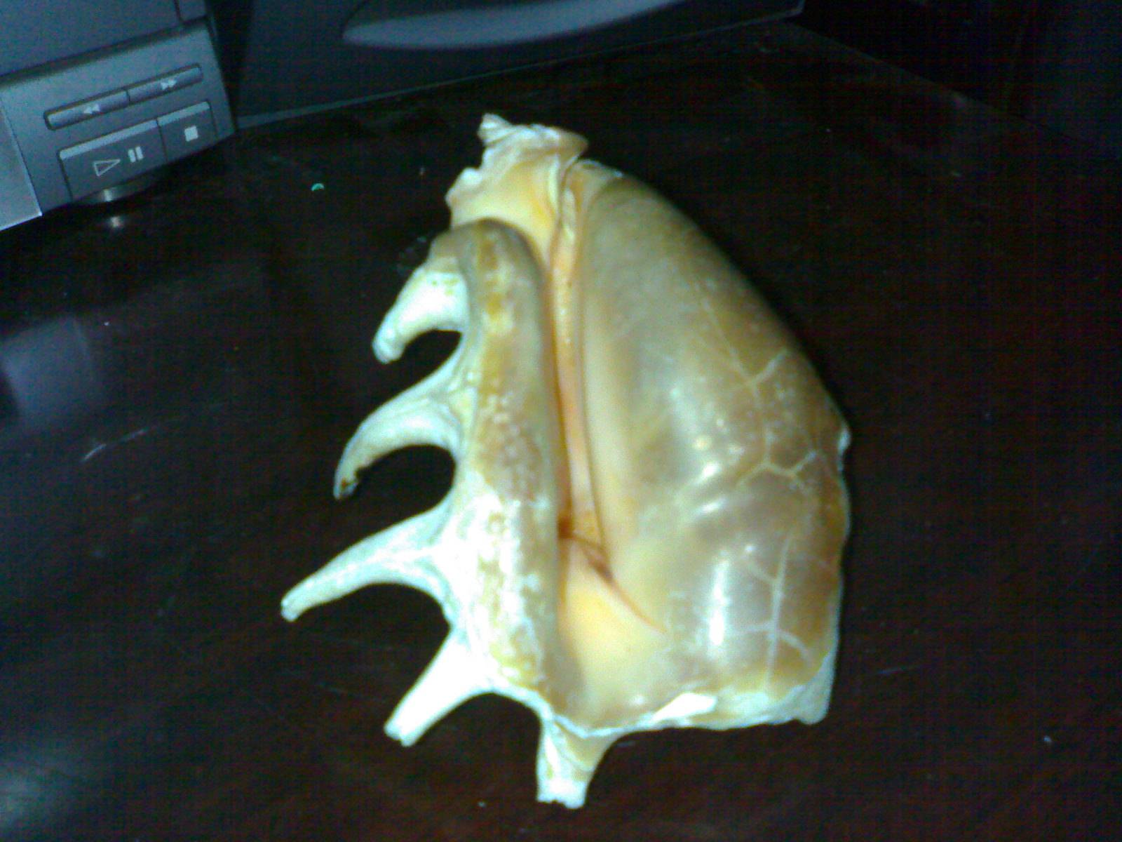 20071230111.jpg