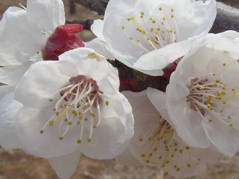S73R1417.JPG