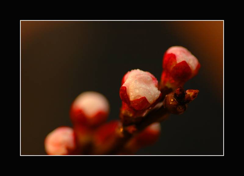 DSC_0127 .jpg
