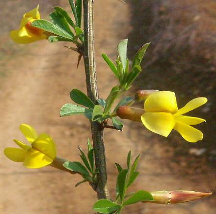 DSCN1688.JPG