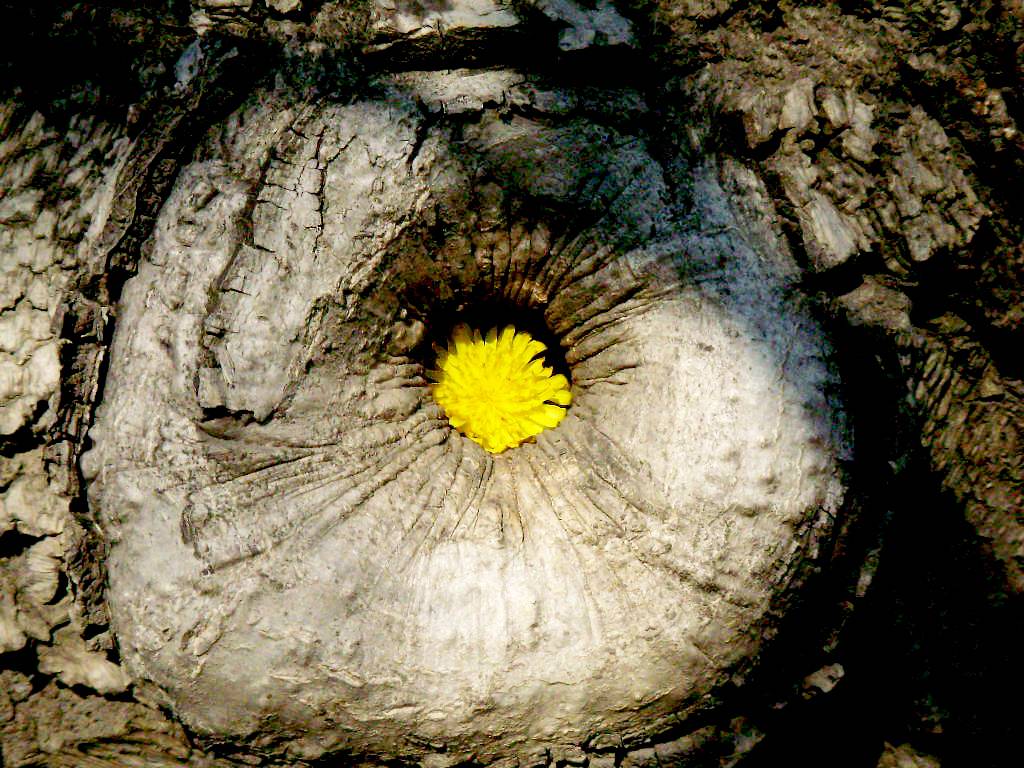 DSCN1657.jpg