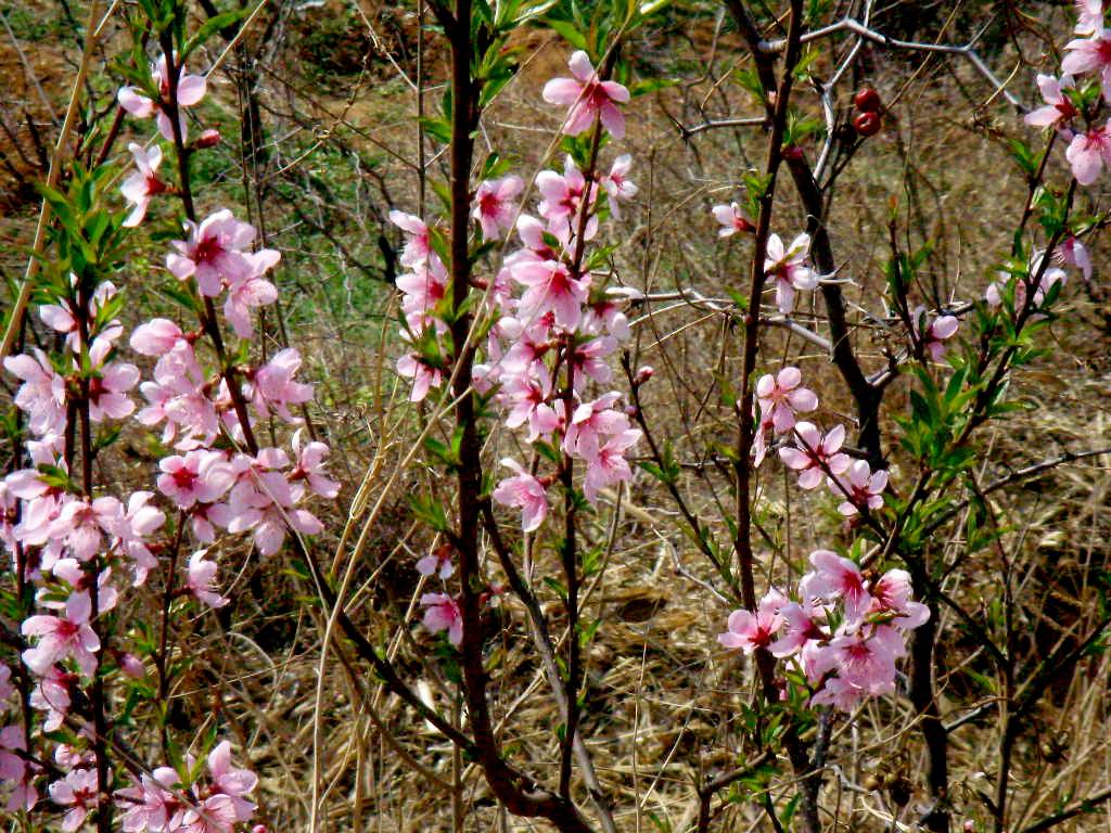 DSCN1639.JPG