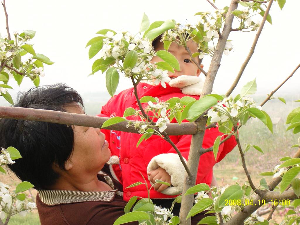 ڴп.JPG