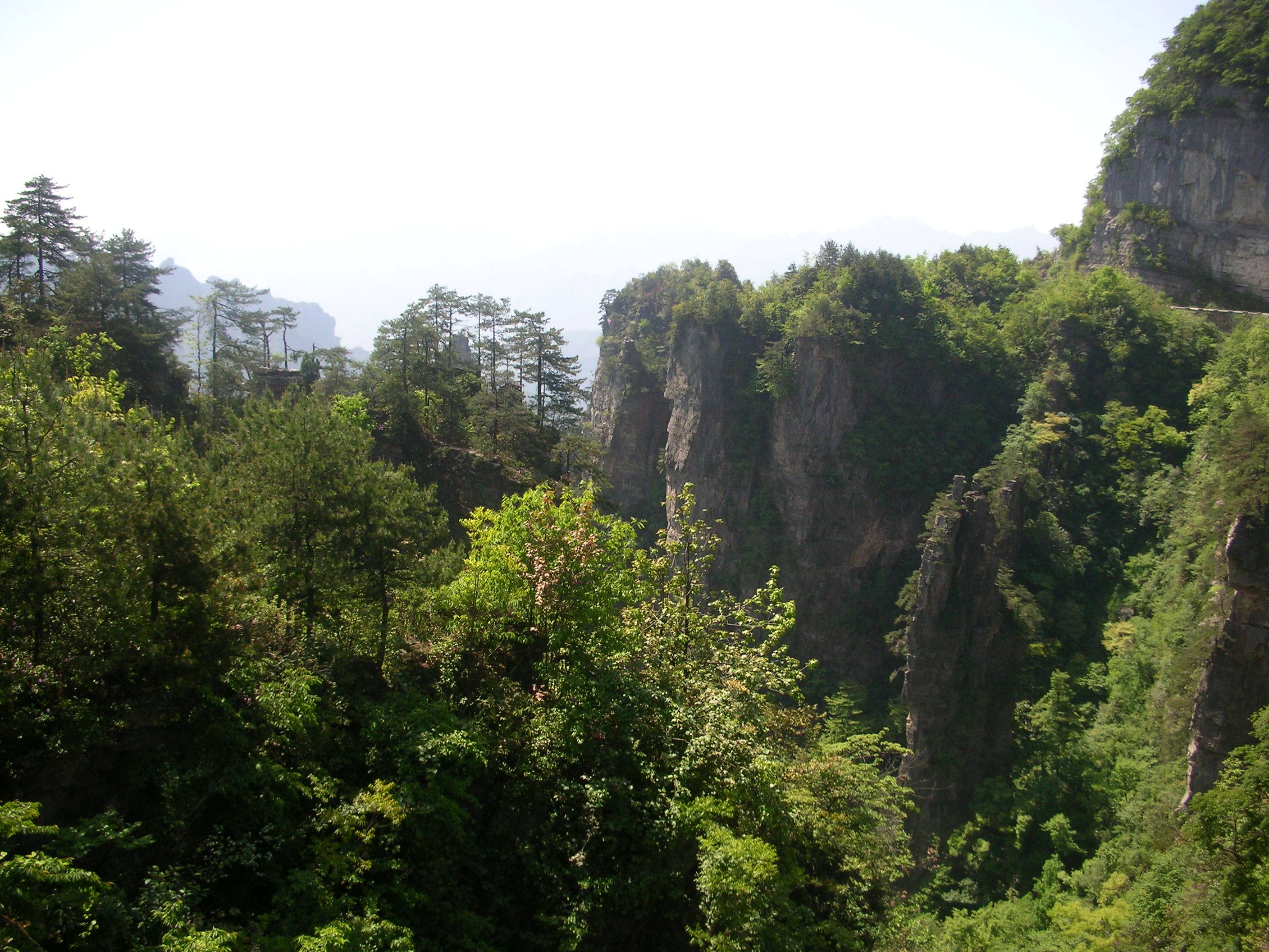 DSCN0873.JPG