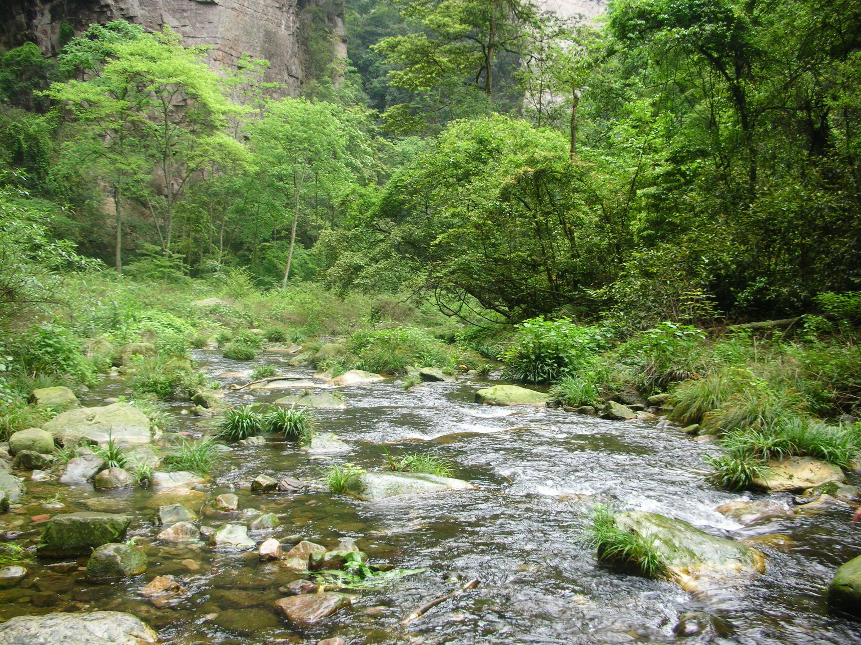 DSCN0817.JPG
