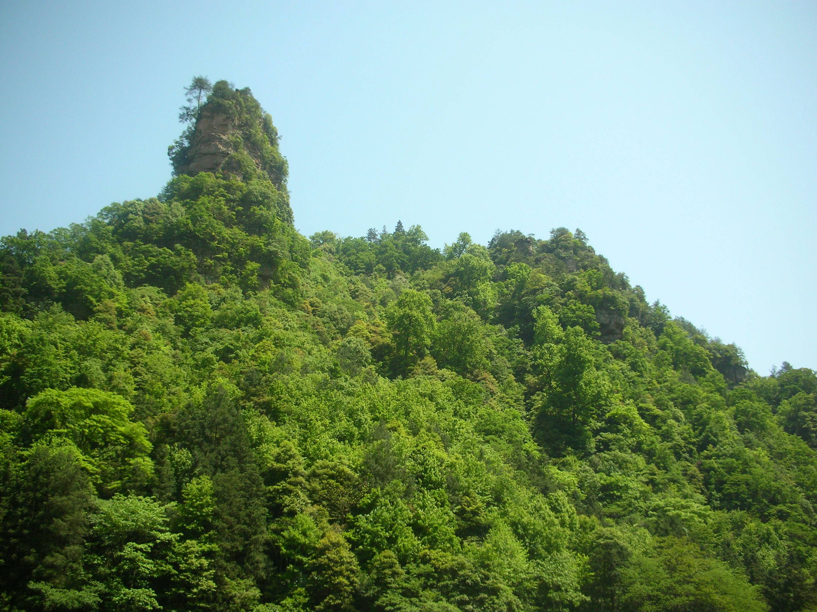 DSCN0875.JPG